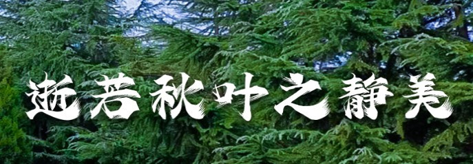西安三兆公墓網(wǎng)上祭奠和代客祭祀說(shuō)明-鳳凰嶺公墓