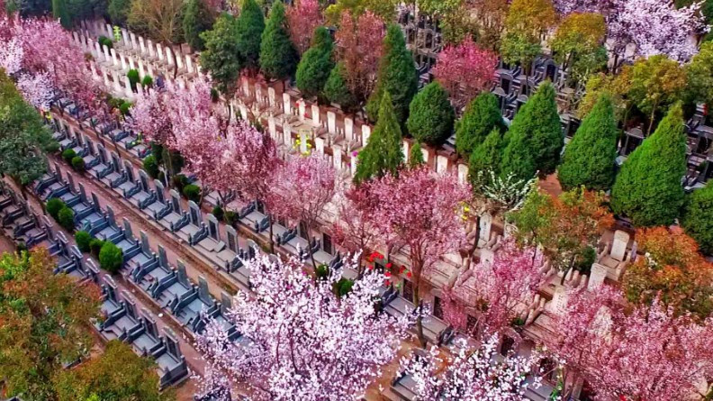 西安市三兆骨灰公墓福安碑號(hào)墓園價(jià)格-公墓價(jià)格一覽表