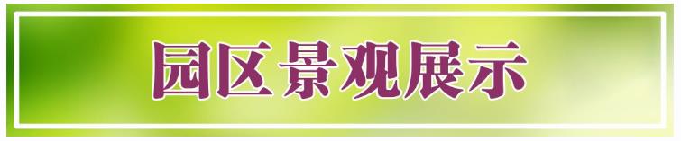 西安鯨魚溝壽陽山圖片,,壽陽山公墓