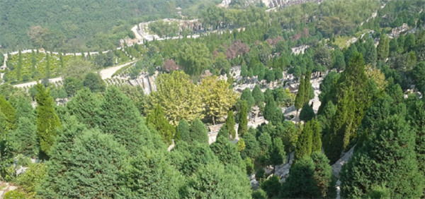 陜西西安壽陽山墓園怎么樣,?